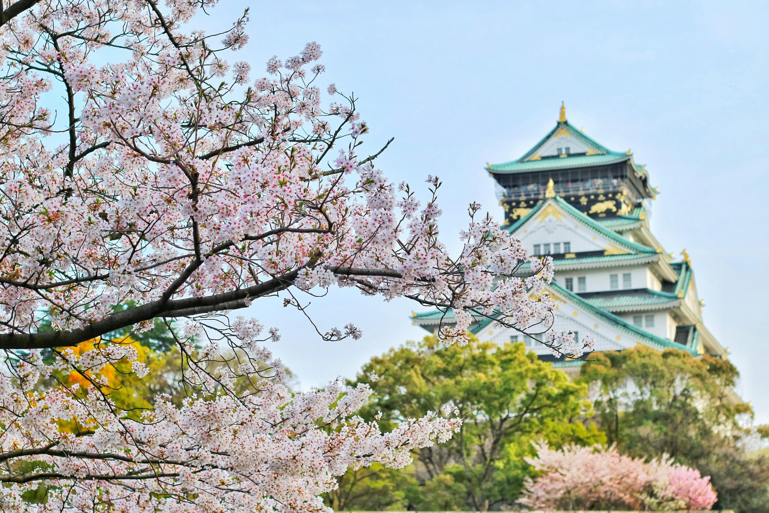 전국 벚꽃 명소